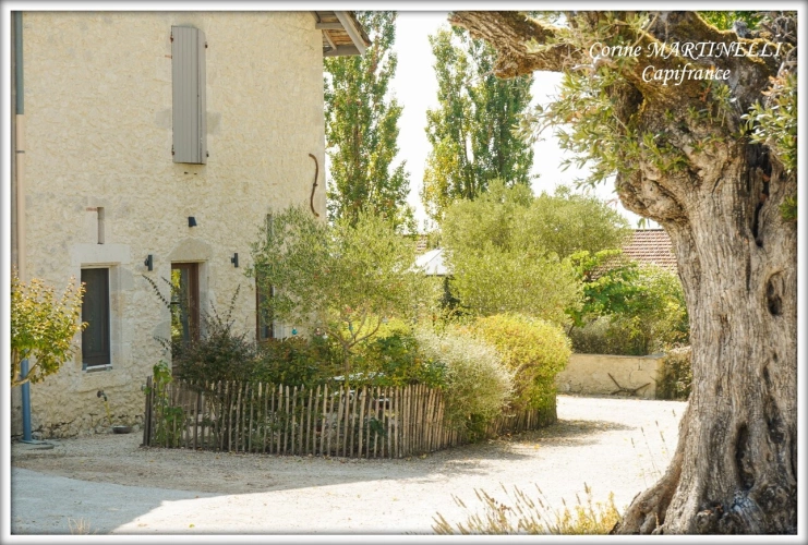 Photos 32 - Prestige - Propriete à vendre 22 pièces proche de AGEN (47) 4 habitations 885 m² + dépendances, 27 ha