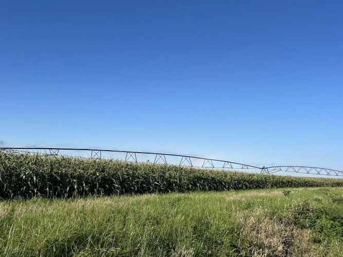 Photos 2 - Agricole - 600 ha