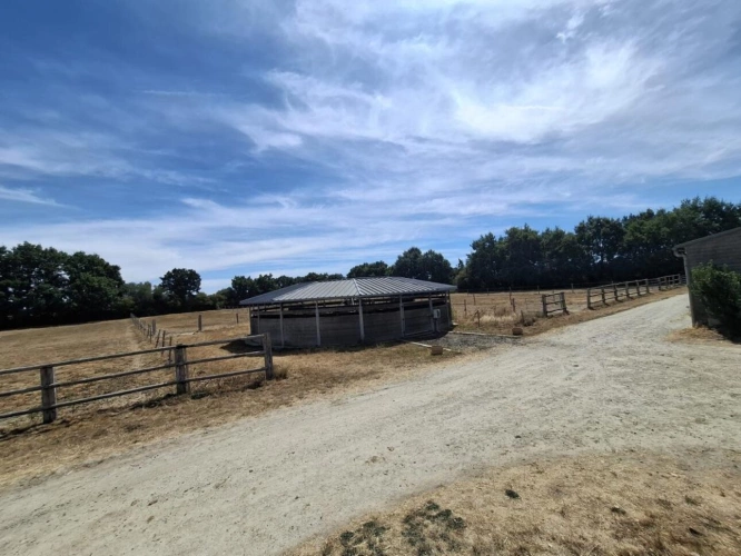 Photos 2 - Équestre - Centre équestre d'exception à vendre - À seulement 30 min