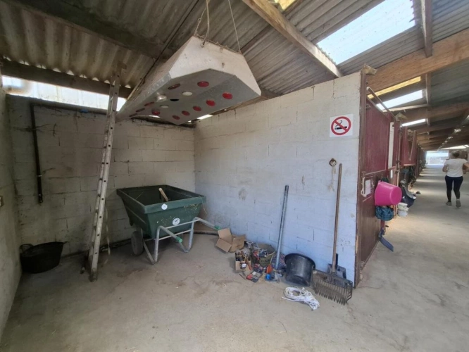 Photos 10 - Équestre - Centre équestre d'exception à vendre - À seulement 30 min