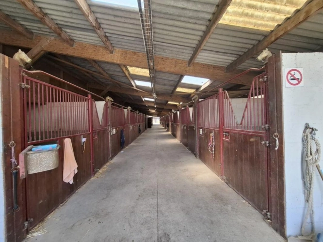 Photos 14 - Équestre - Centre équestre d'exception à vendre - À seulement 30 min