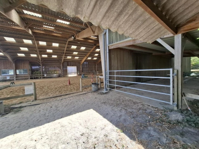 Photos 18 - Équestre - Centre équestre d'exception à vendre - À seulement 30 min