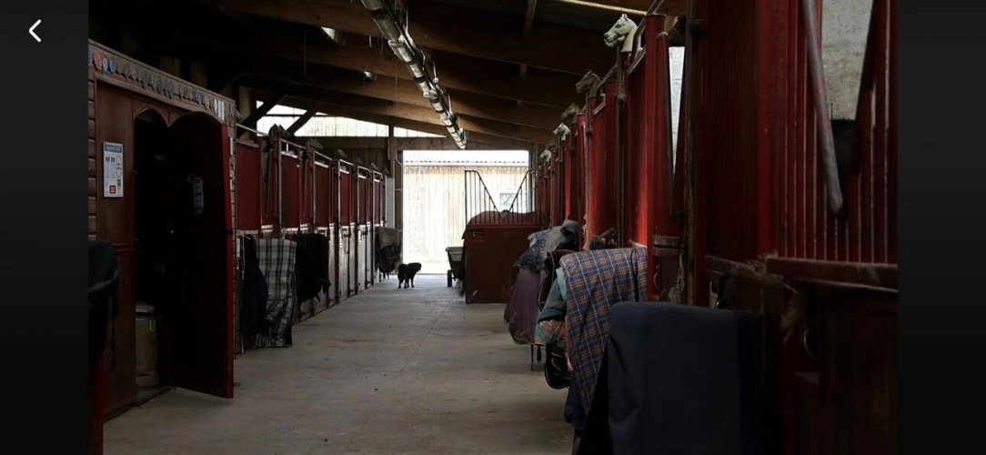 Photos 25 - Équestre - Centre équestre d'exception à vendre - À seulement 30 min
