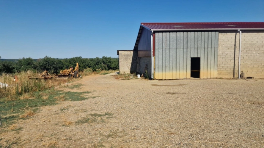 Photos 24 - Prestige - Bâtiments agricole avec studio à rénover - 19 hectares