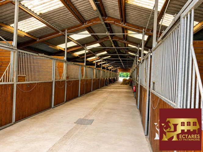 Photos 5 - Équestre - Domaine équestre d'exception aux portes d'Angers . Trois habitations, installations équestres
