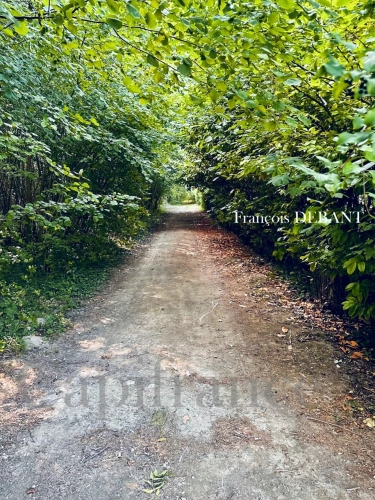 Photos 1 - Rurale - Terrain à vendre de 4 900,00 m² proche de REIMS (51)