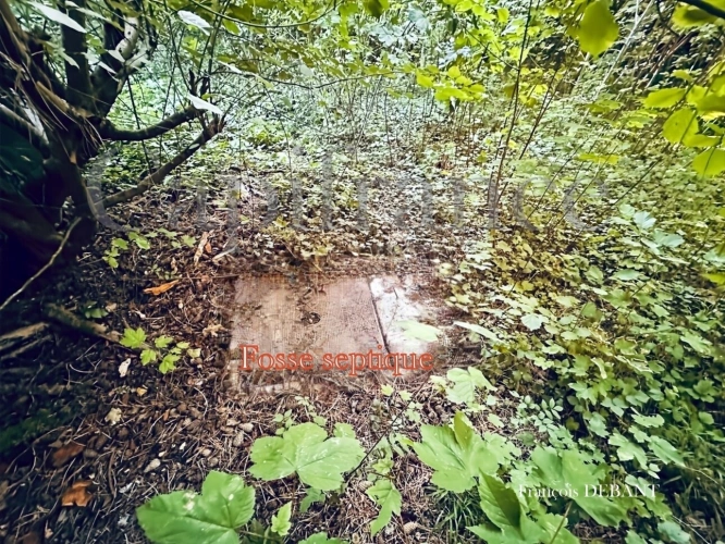 Photos 2 - Rurale - Terrain à vendre de 4 900,00 m² proche de REIMS (51)