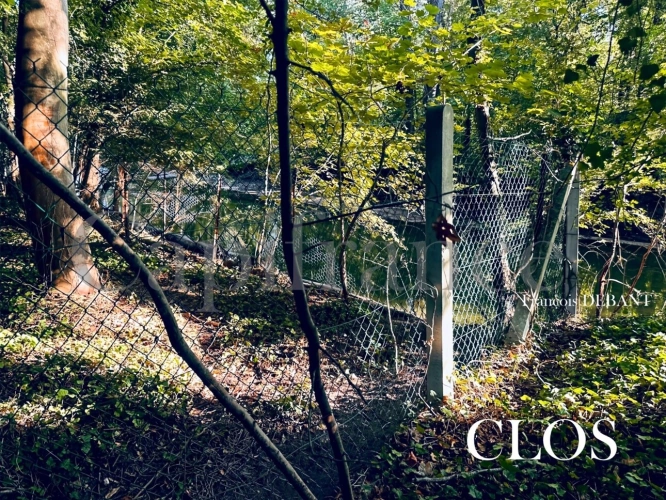 Photos 4 - Rurale - Terrain à vendre de 4 900,00 m² proche de REIMS (51)