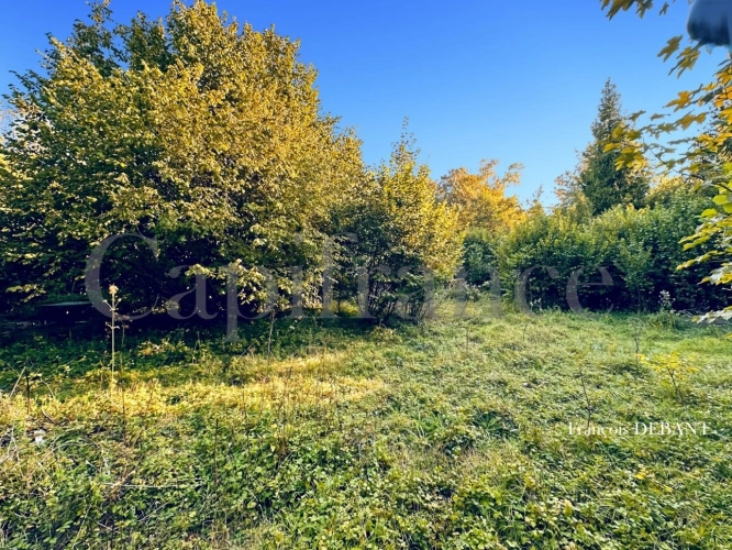 Photos 9 - Rurale - Terrain à vendre de 4 900,00 m² proche de REIMS (51)