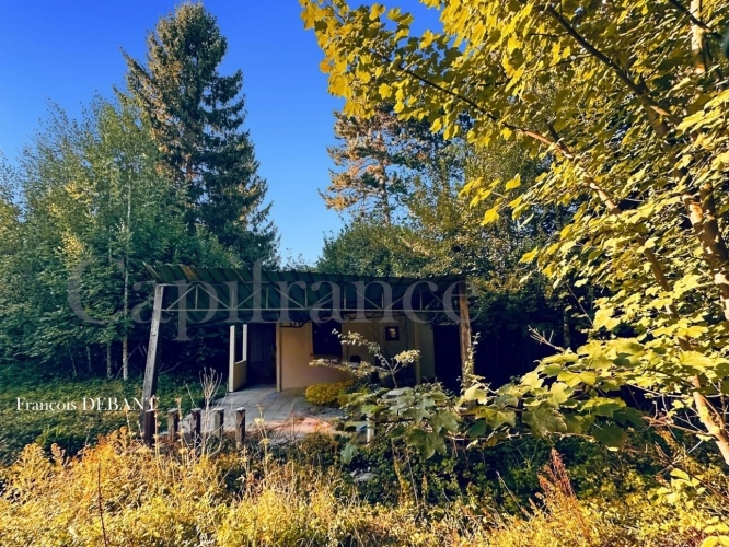 Photos 10 - Rurale - Terrain à vendre de 4 900,00 m² proche de REIMS (51)