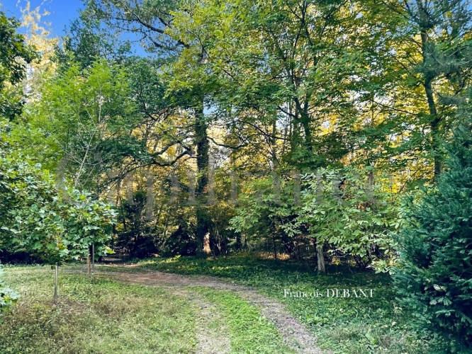 Photos 11 - Rurale - Terrain à vendre de 4 900,00 m² proche de REIMS (51)