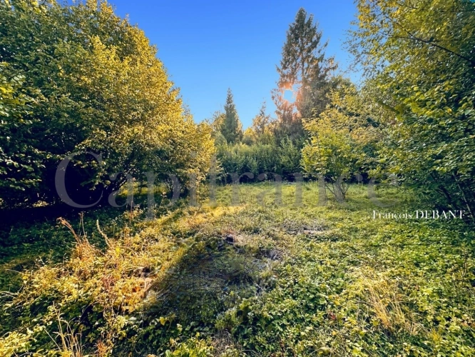 Photos 12 - Rurale - Terrain à vendre de 4 900,00 m² proche de REIMS (51)