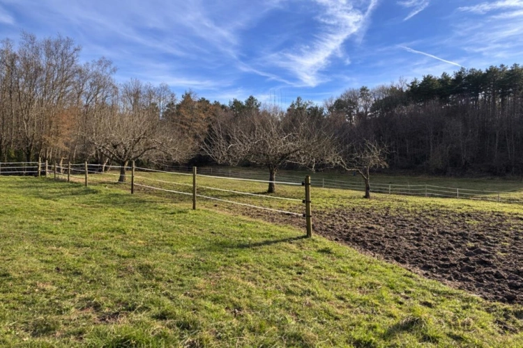 Photos 2 - Équestre - Maison avec boxes sur 1,6 hectare