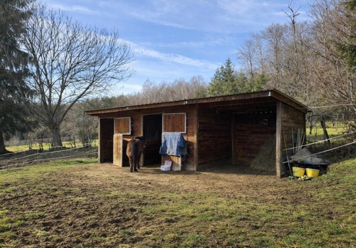 Photos 4 - Équestre - Maison avec boxes sur 1,6 hectare