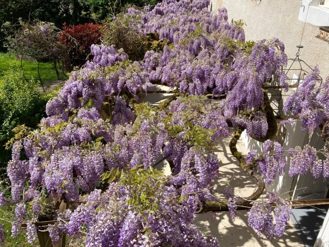 Photos 15 - Prestige - Magnifique propriété avec accès direct à la Vézère