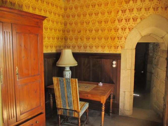 Photos 4 - Prestige - Château historique dominant les gorges de la Dore