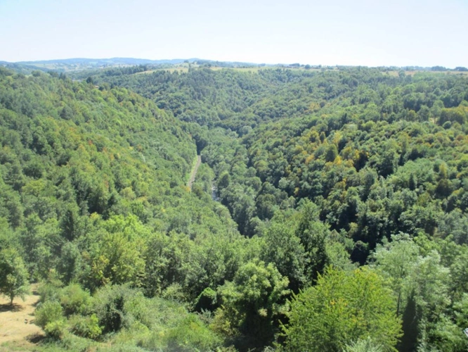 Photos 15 - Prestige - Château historique dominant les gorges de la Dore