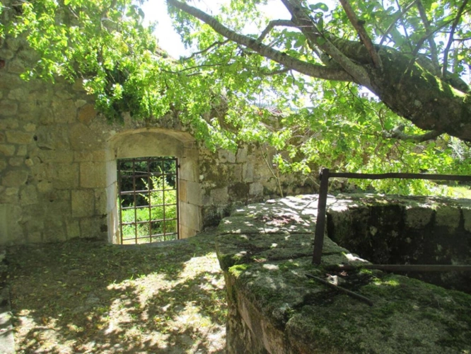 Photos 18 - Prestige - Château historique dominant les gorges de la Dore