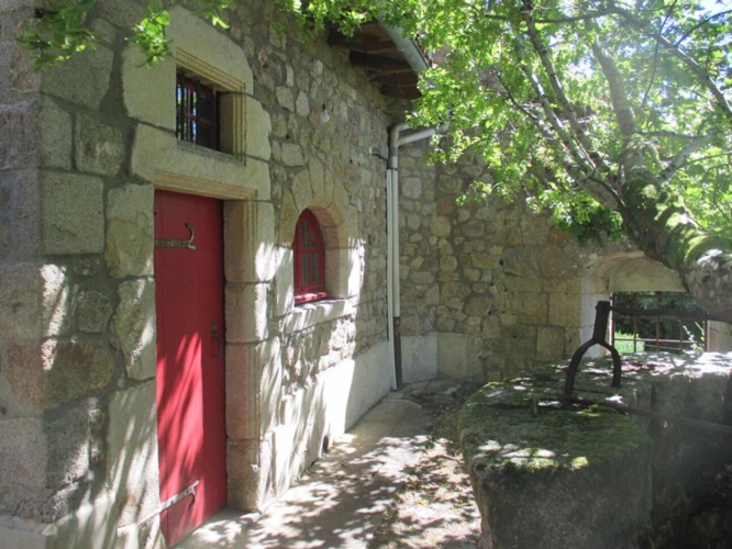 Photos 19 - Prestige - Château historique dominant les gorges de la Dore