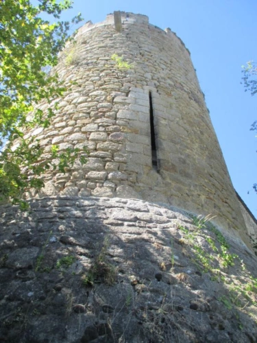 Photos 24 - Prestige - Château historique dominant les gorges de la Dore