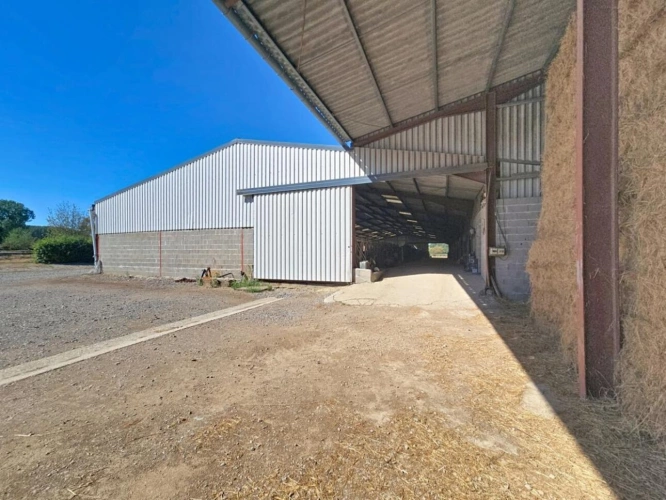 Photos 9 - Rurale - Exploitation agricole - 104 ha avec DPB   Cher / Indre