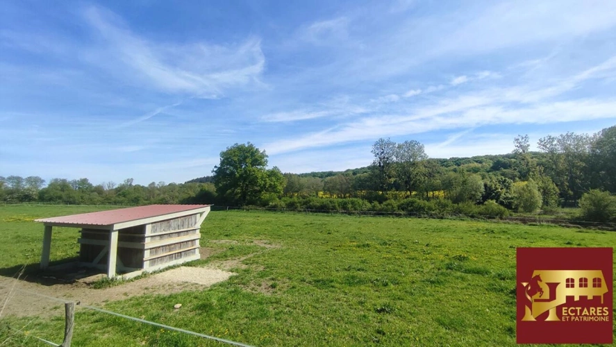 Photos 2 - Equestrian - Ancien Moulin 4,3 hectares