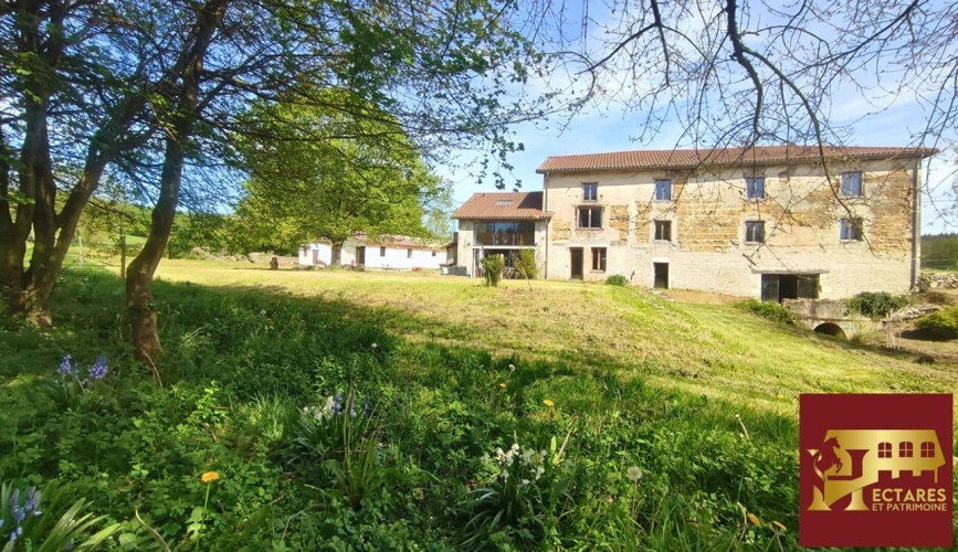 Photos 7 - Equestrian - Ancien Moulin 4,3 hectares