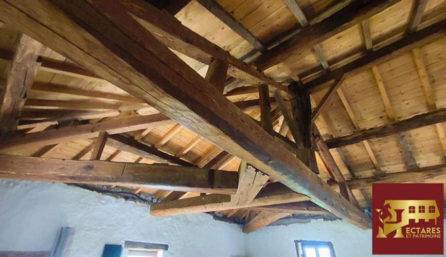 Photos 9 - Equestrian - Ancien Moulin 4,3 hectares