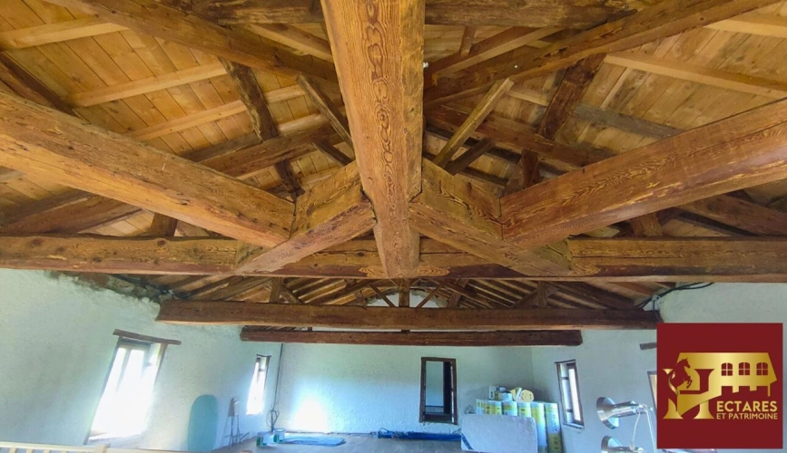 Photos 10 - Equestrian - Ancien Moulin 4,3 hectares
