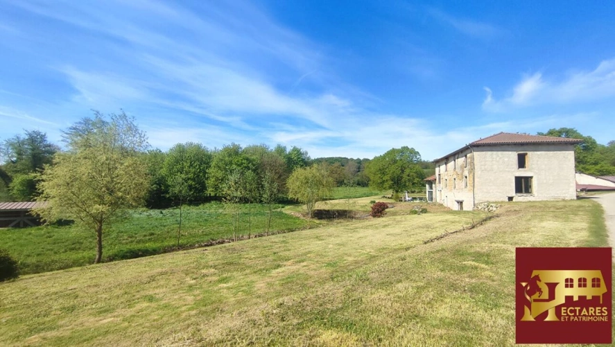 Photos 11 - Equestrian - Ancien Moulin 4,3 hectares