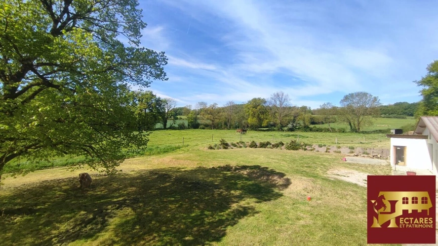 Photos 15 - Equestrian - Ancien Moulin 4,3 hectares