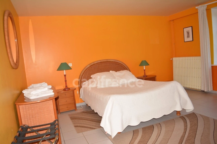 Photos 9 - Prestige - Propriété  17 pièces SAINT SAULGE (58) gite, chambre d'hôtes