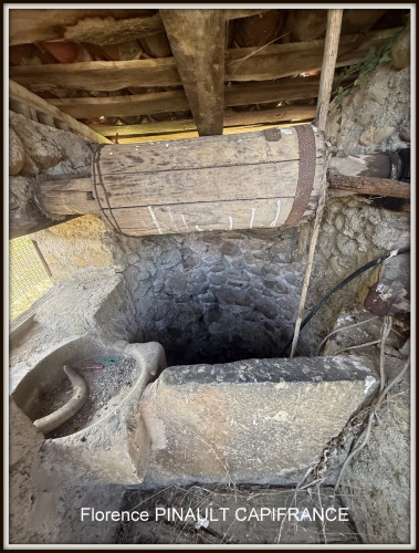 Photos 22 - Rurale - Propriete à vendre 4 pièces CANTAOUS (65)