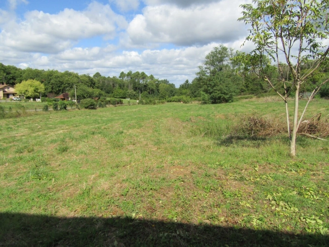 Photos 19 - Prestige - Propriété avec maison 4 chambres, plusieurs bâtiments et 1.8 hectares de terrain