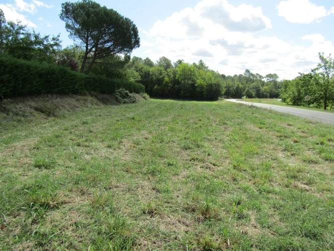 Photos 20 - Prestige - Propriété avec maison 4 chambres, plusieurs bâtiments et 1.8 hectares de terrain
