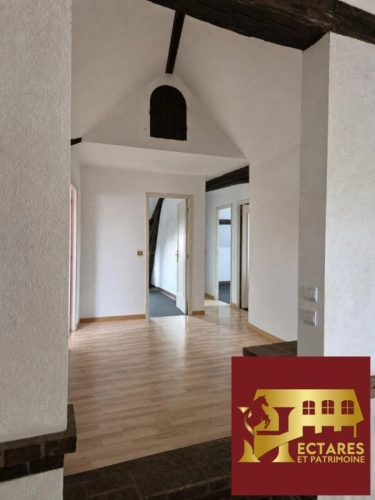 Photos 5 - Équestre - Maison avec boxes et 1.2 ha  à 45 minutes Fontainebleau
