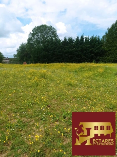 Photos 7 - Équestre - Maison avec boxes et 1.2 ha  à 45 minutes Fontainebleau