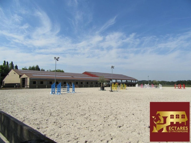 Photos 1 - Équestre - Ecurie  Lille