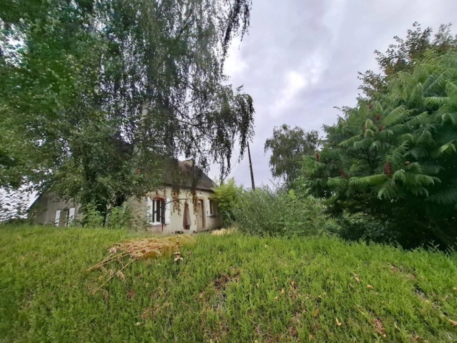 Photos 3 - Rurale - PROPRIÉTÉ ÉQUESTRE À FORT POTENTIEL - PLUS DE 10 HECTARES