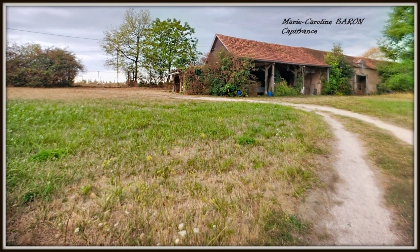 Photos 4 - Prestige - Propriete MAISON BOIS PRAIRIES BUZANCAIS (36)
