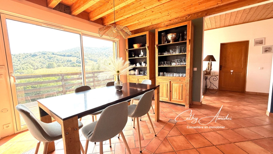 Photos 4 - Prestige - PRATAVONE (Corse) : Propriété 10 pièces avec piscine et chalet indépendant