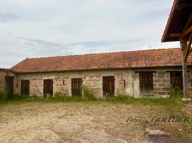 Photos 13 - Prestige - A  SAINT FORGEUX LESPINASSE (42) MAISON DE CARACTERE de 200 M2 avec DEPENDANCES et terrain clos de 8400M2