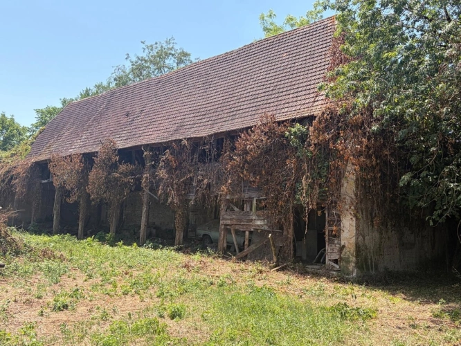 Photos 4 - Rurale - PLAISANCE du GERS proche(32): ANCIENNE PROPRIETE BOURGEOISE avec dépendances, bois, petit etang, 2 hectares,CALME, sans vis à vis