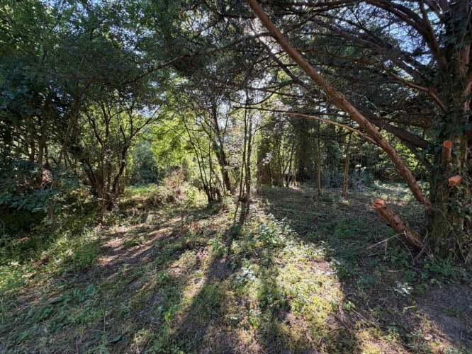 Photos 17 - Rurale - PLAISANCE du GERS proche(32): ANCIENNE PROPRIETE BOURGEOISE avec dépendances, bois, petit etang, 2 hectares,CALME, sans vis à vis