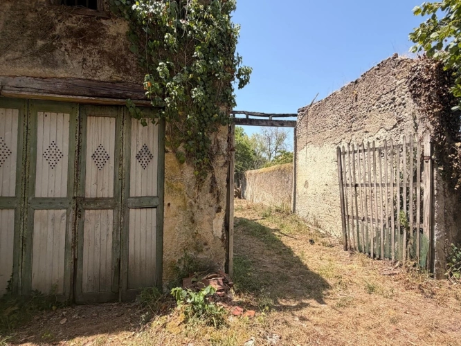 Photos 26 - Rurale - PLAISANCE du GERS proche(32): ANCIENNE PROPRIETE BOURGEOISE avec dépendances, bois, petit etang, 2 hectares,CALME, sans vis à vis