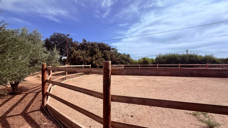 Photos 2 - Équestre - Charmante propriété équestre avec rendements locatifs