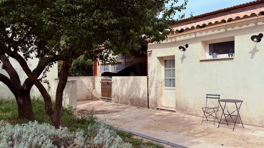 Photos 4 - Équestre - Charmante propriété équestre avec rendements locatifs