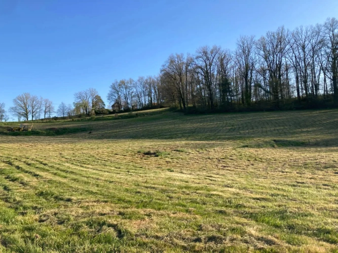 Photos 2 - Touristique - Domaine touristique à créer sur 1,58 ha aux portes du Périgord Noir