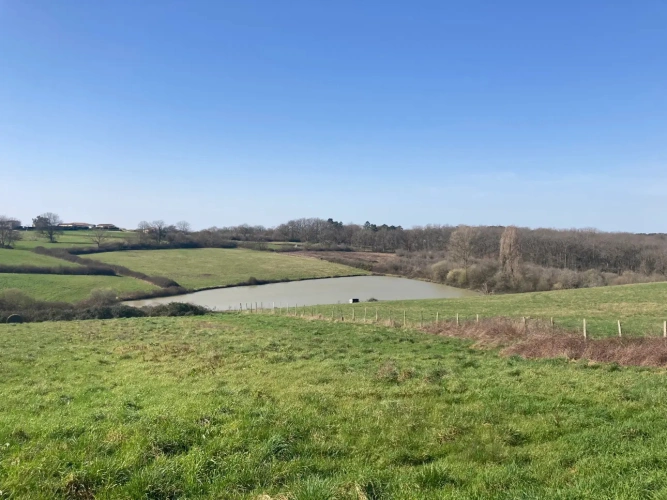 Photos 3 - Agricole - Vends corps de ferme en Dordogne - Sud-Est de Bergerac - 27ha d'un seul tenant dont 1 étang d'1ha