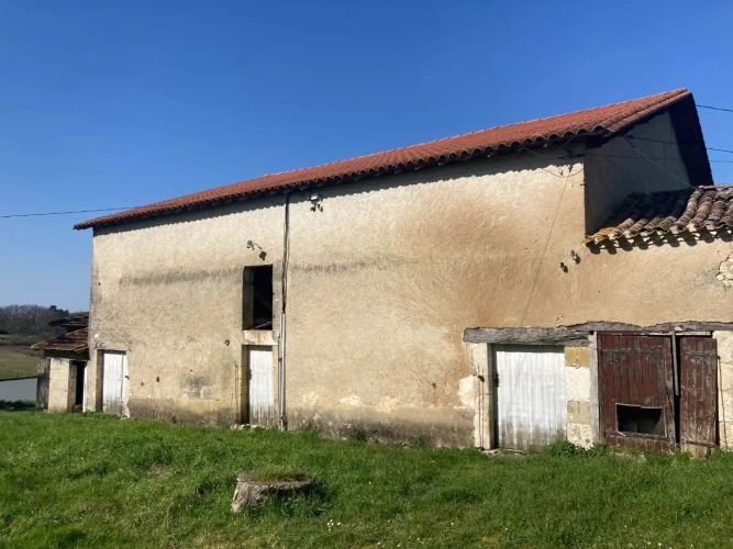 Photos 8 - Agricole - Vends corps de ferme en Dordogne - Sud-Est de Bergerac - 27ha d'un seul tenant dont 1 étang d'1ha